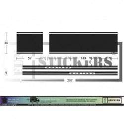 Ford Mustang kit complet bandes decoratives tuning autocollant Fun Stickers