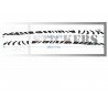 Renault Twingo 3 bandes laterales effet zebre tuning autocollant Fun Stickers