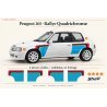 Peugeot 205 Rallye Quadrichrome decals