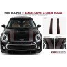MINI double bonnet stripes and outlines decal kit