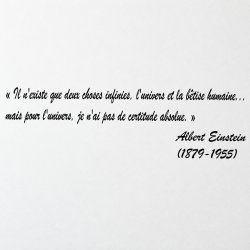 Sticker mural Einstein, deux choses infinies | Fun-Stickers