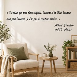 Sticker mural Einstein, deux choses infinies | Fun-Stickers