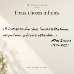 Wall decal Einstein, deux choses infinies | Fun-Stickers