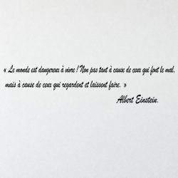 Wall decal Einstein, le monde est dangereux | Fun-Stickers