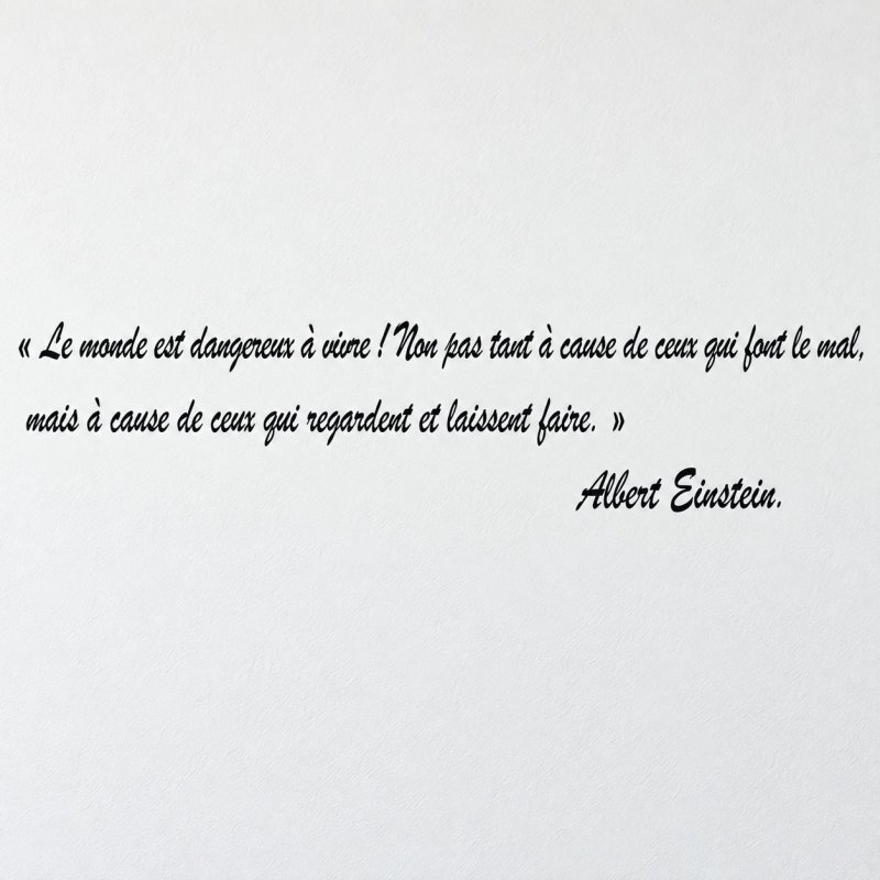 Wall decal Einstein, le monde est dangereux | Fun-Stickers
