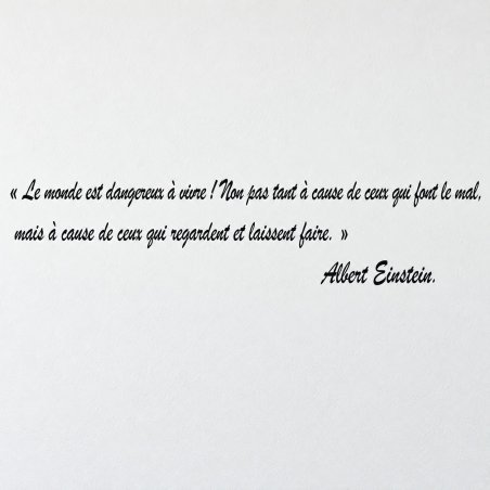 Wall decal Einstein, le monde est dangereux | Fun-Stickers