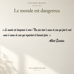 Wall decal Einstein, le monde est dangereux | Fun-Stickers
