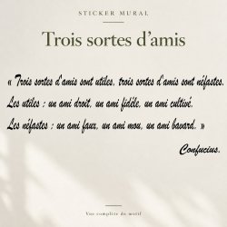 Sticker mural Trois sortes d'amis | Fun-Stickers