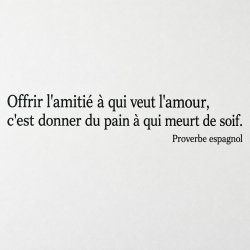 Wall decal Offrir l'amitié à qui veut l'amour | Fun-Stickers