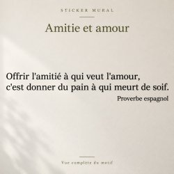 Sticker mural Offrir l'amitié à qui veut l'amour | Fun-Stickers