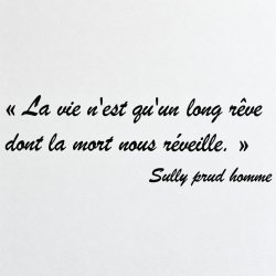 Wall decal La vie n'est qu'un long rêve | Fun-Stickers