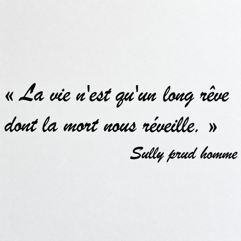 Sticker mural La vie n'est qu'un long rêve | Fun-Stickers