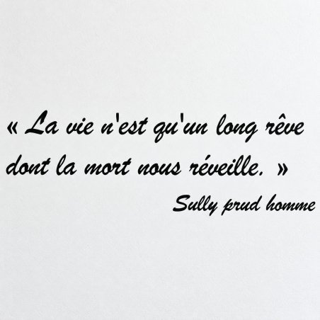 Sticker mural La vie n'est qu'un long rêve | Fun-Stickers