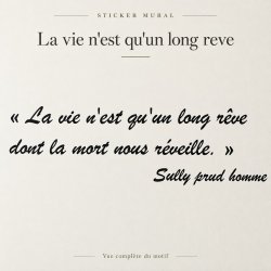 Sticker mural La vie n'est qu'un long rêve | Fun-Stickers