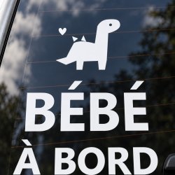 Baby on board car sticker Mini dinosaure | Fun-Stickers