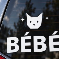 Sticker bébé à bord Chat des étoiles | Fun-Stickers