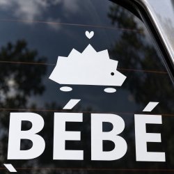 Baby on board car sticker Hérisson nomade | Fun-Stickers