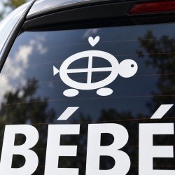 Sticker bébé à bord Tortue des chemins | Fun-Stickers