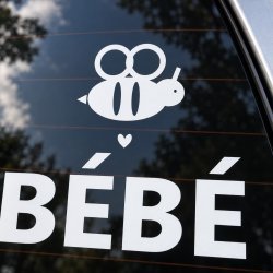 Baby on board car sticker Petite abeille | Fun-Stickers