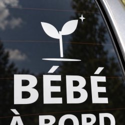 Sticker bébé à bord Notre petite pousse | Fun-Stickers
