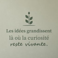 Wall decal Cultivate ideas | Fun-Stickers