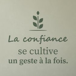 Sticker mural citation — La confiance se cultive | Fun-Stickers